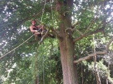 Tree Pruning